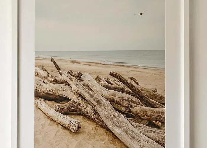 Golfe De Saint-tropez *